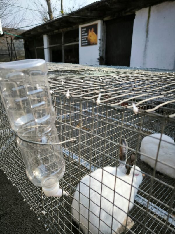 Rabbit Automatic Water Nozle - Image 2