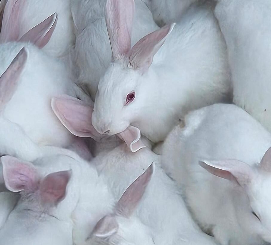 8e03921a-741c-498d-8174-672a0b14b7f1