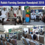 Screenshot 2026-02-13 123203