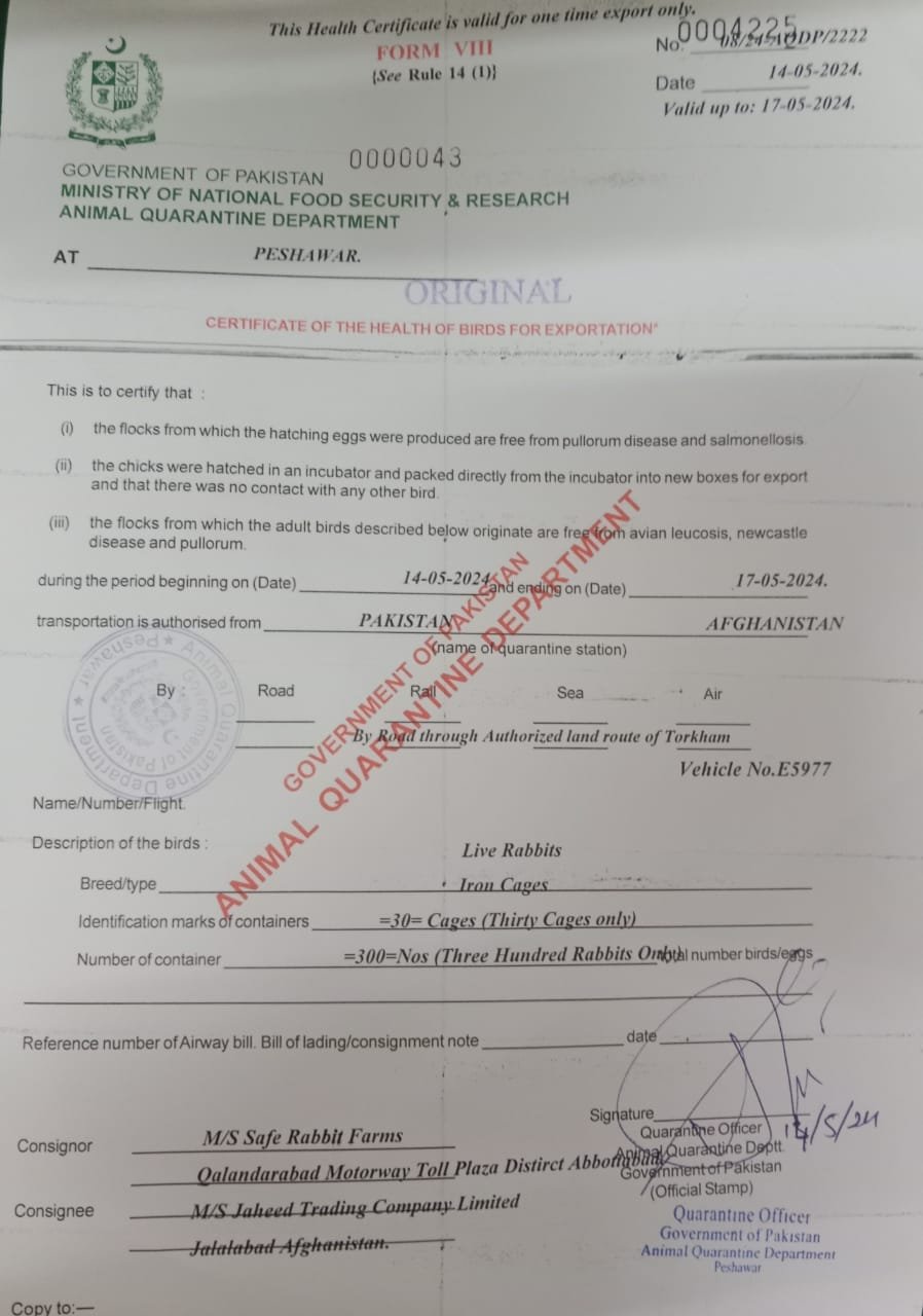 WhatsApp Image 2026-02-11 at 5.05.58 PM